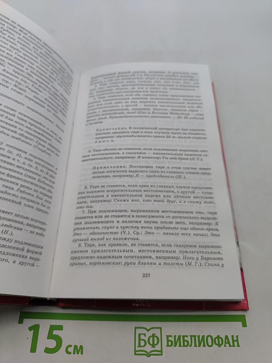 Русский язык. Орфография. Пунктуация. Домашний репетитор