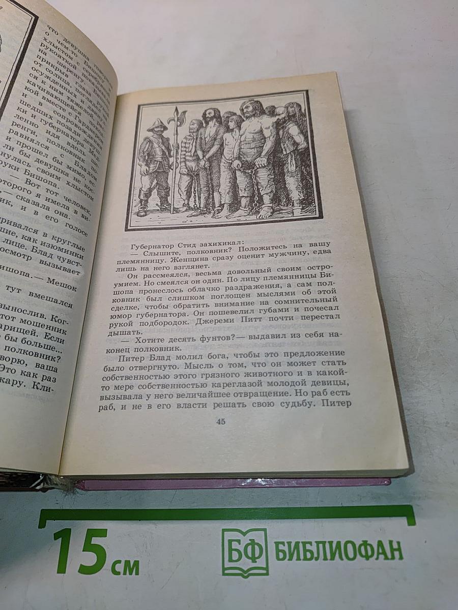 Одиссея капитана Блада. Хроника капитана Блада