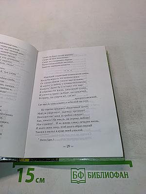 Вершины русской поэзии