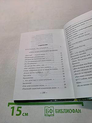 Вершины русской поэзии