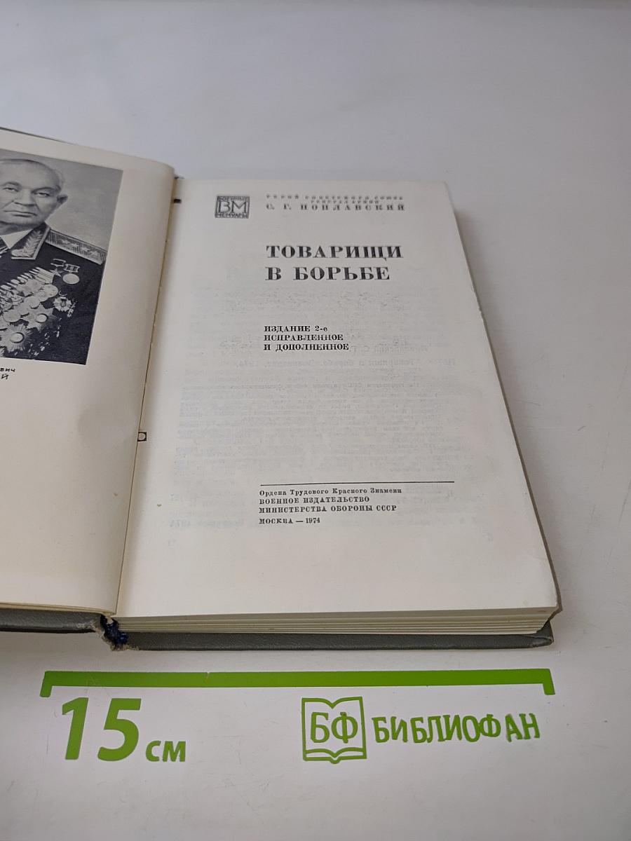 Товарищи в борьбе