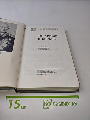 Товарищи в борьбе
