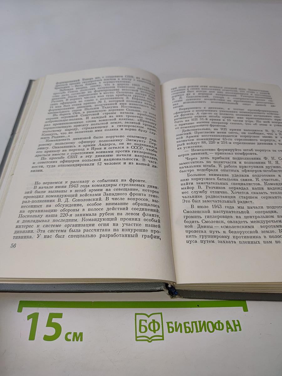 Товарищи в борьбе
