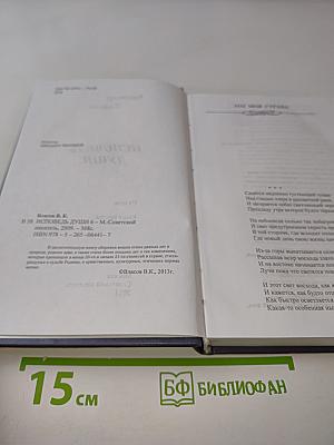 Исповедь души. Книга шестая