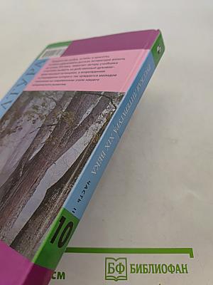 Русская литература XIX века. Учебник для общеобразовательных учреждений. Часть 2. 10 класс