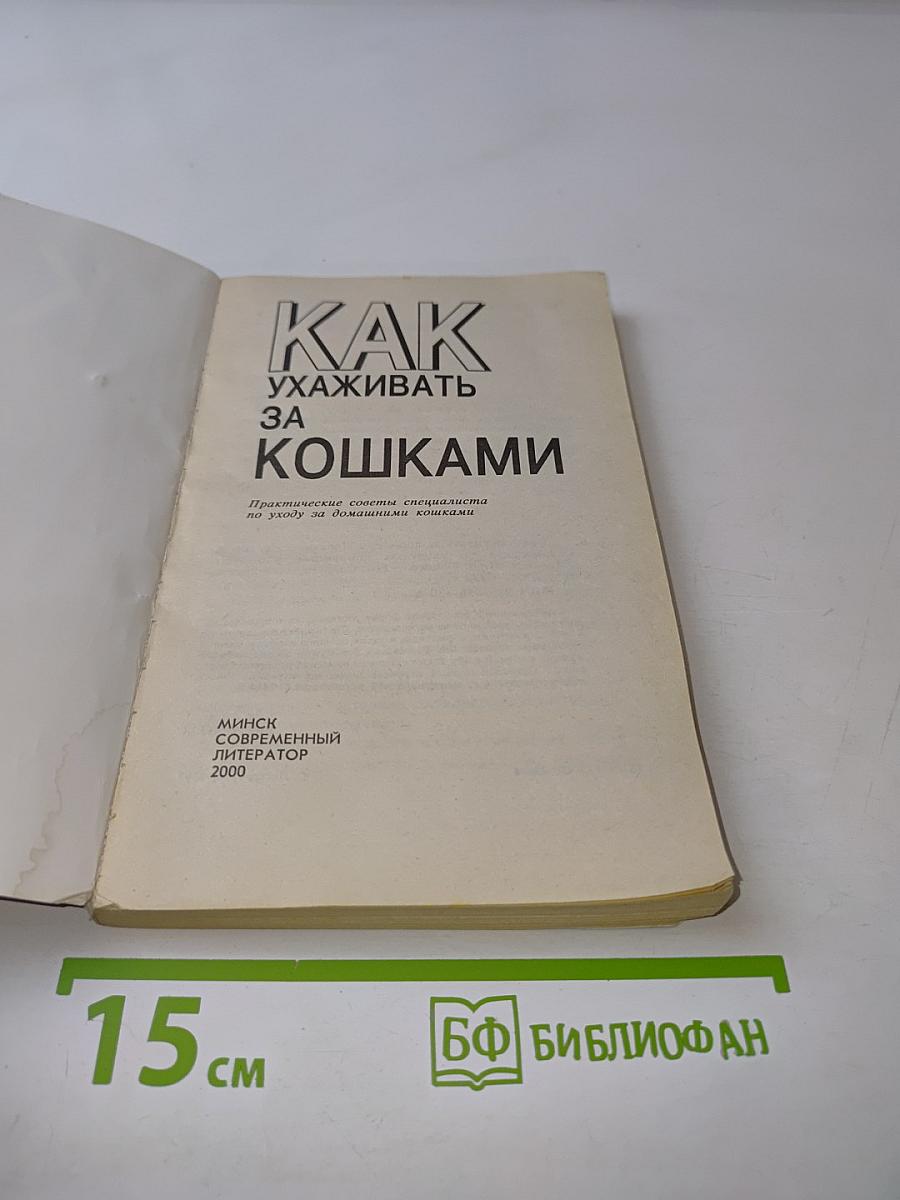 Как ухаживать за кошками