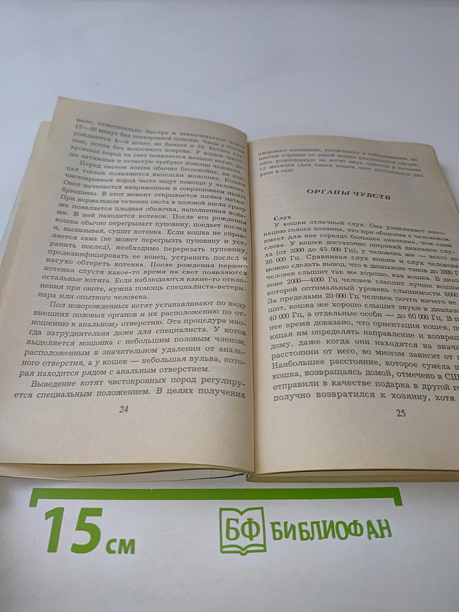 Как ухаживать за кошками