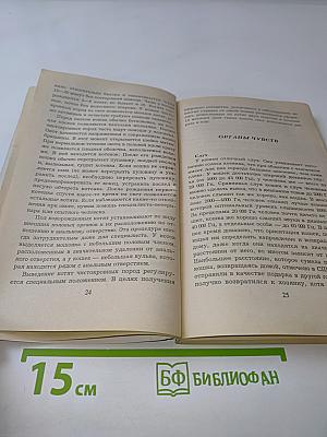 Как ухаживать за кошками
