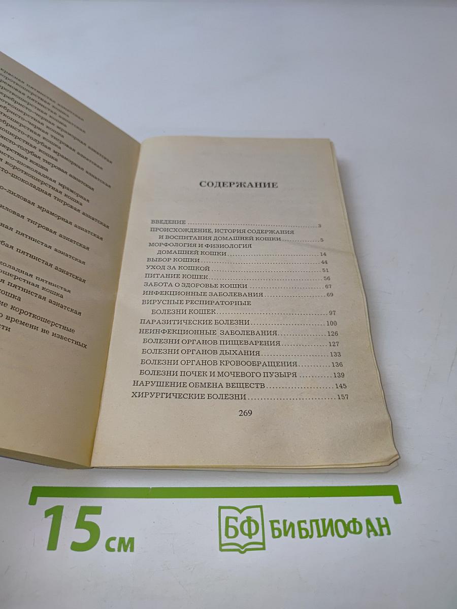 Как ухаживать за кошками