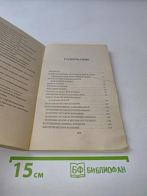 Как ухаживать за кошками