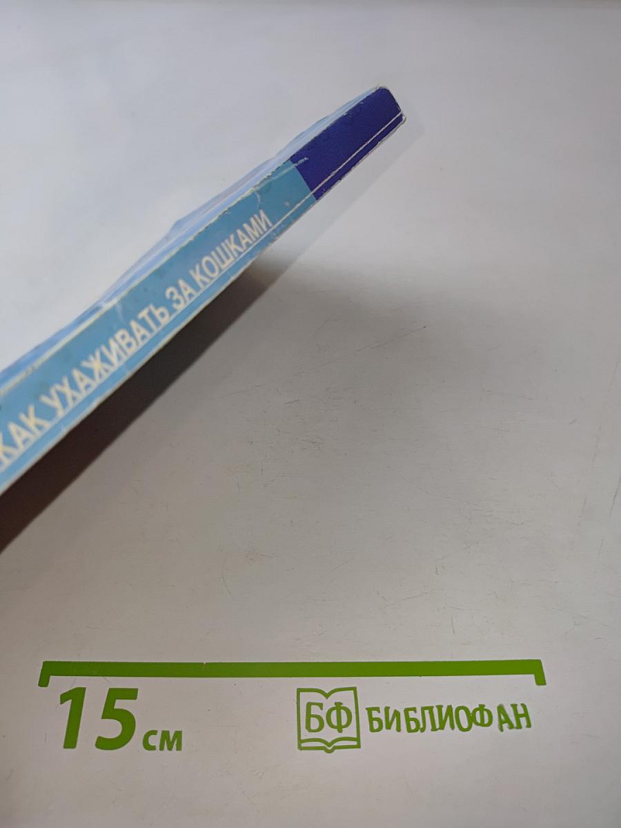 Как ухаживать за кошками