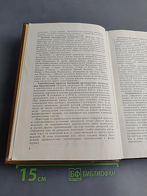 История русской литературы X-XVII веков