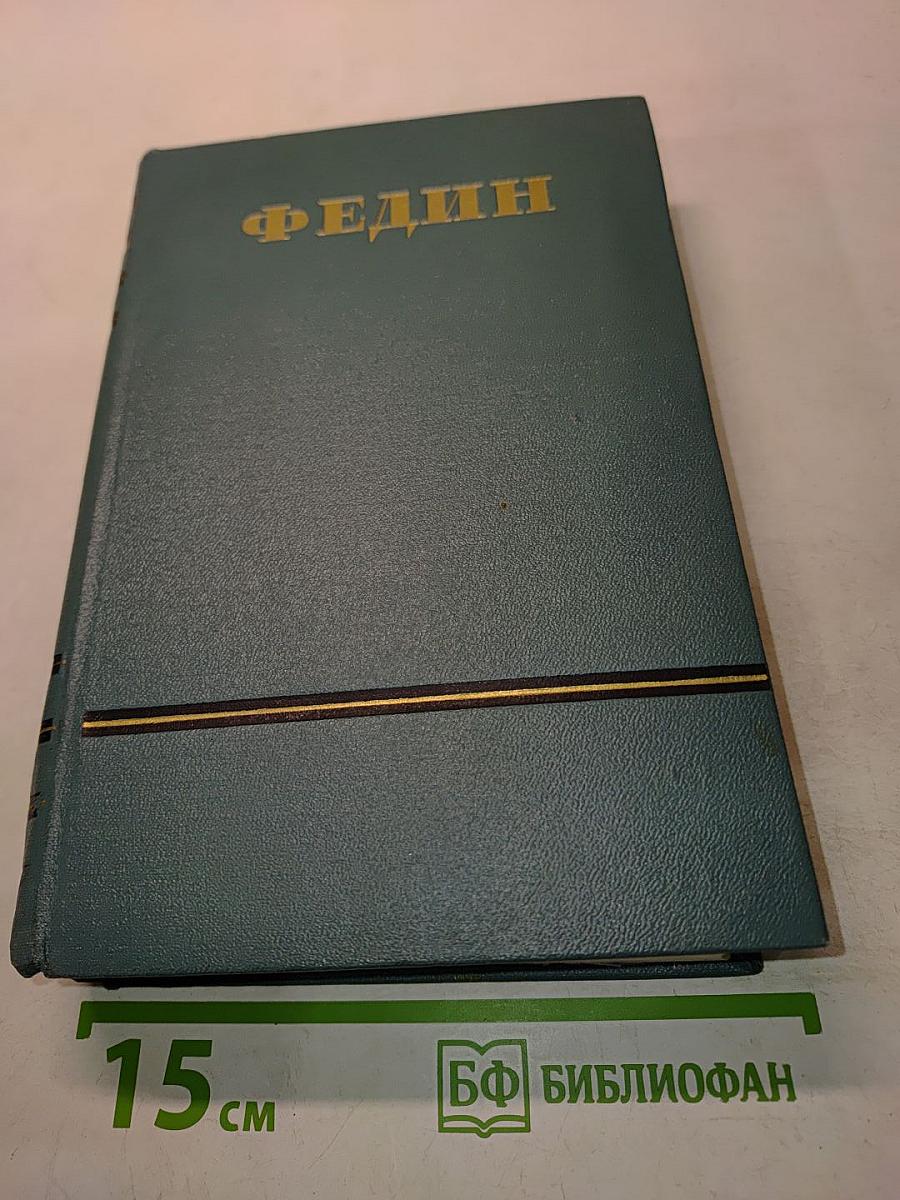 Необыкновенное лето. Том пятый