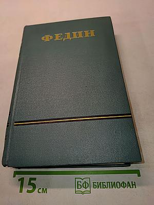 Необыкновенное лето. Том пятый