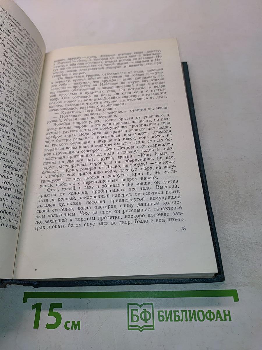 Необыкновенное лето. Том пятый