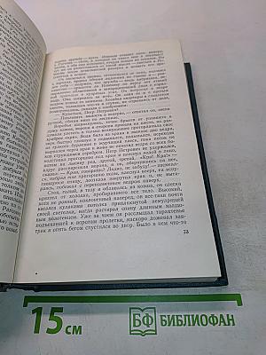 Необыкновенное лето. Том пятый
