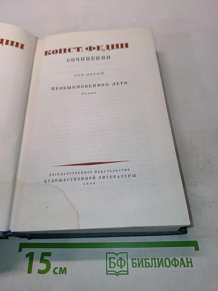 Необыкновенное лето. Том пятый
