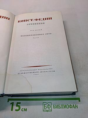 Необыкновенное лето. Том пятый