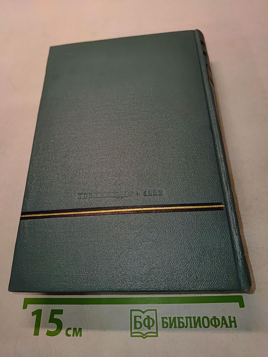 Необыкновенное лето. Том пятый