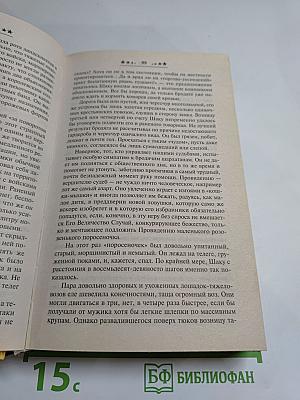 Доспехи из чешуи дракона. Время мушкетов