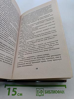 Волшебная самоволка. Книга 1. Флаг вам в руки!