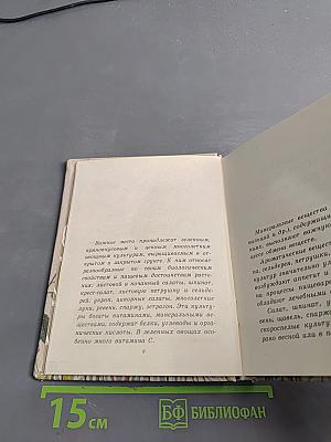 Зеленные и пряные овощные культуры