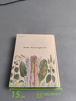 Зеленные и пряные овощные культуры