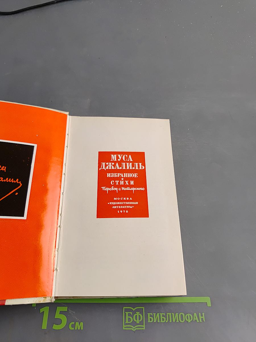 Избранное. Стихи и переводы с татарского