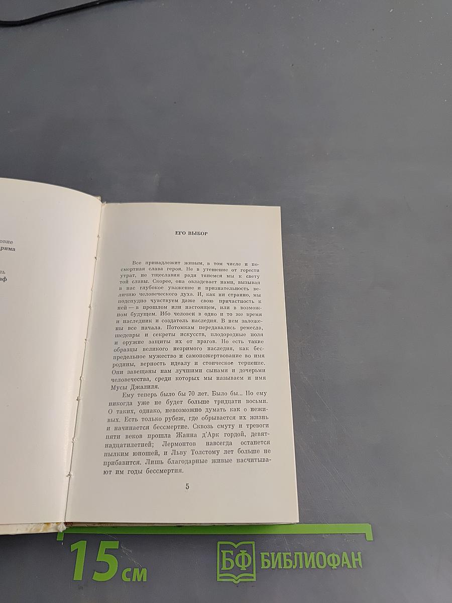 Избранное. Стихи и переводы с татарского