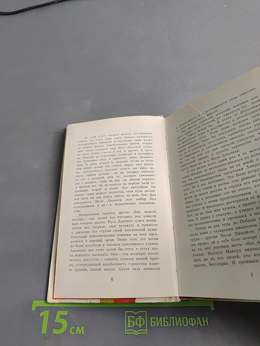 Избранное. Стихи и переводы с татарского
