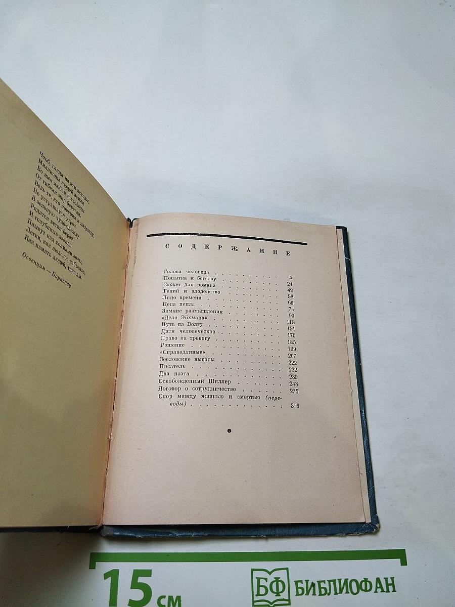 Цена пепла. Немецкие заметки