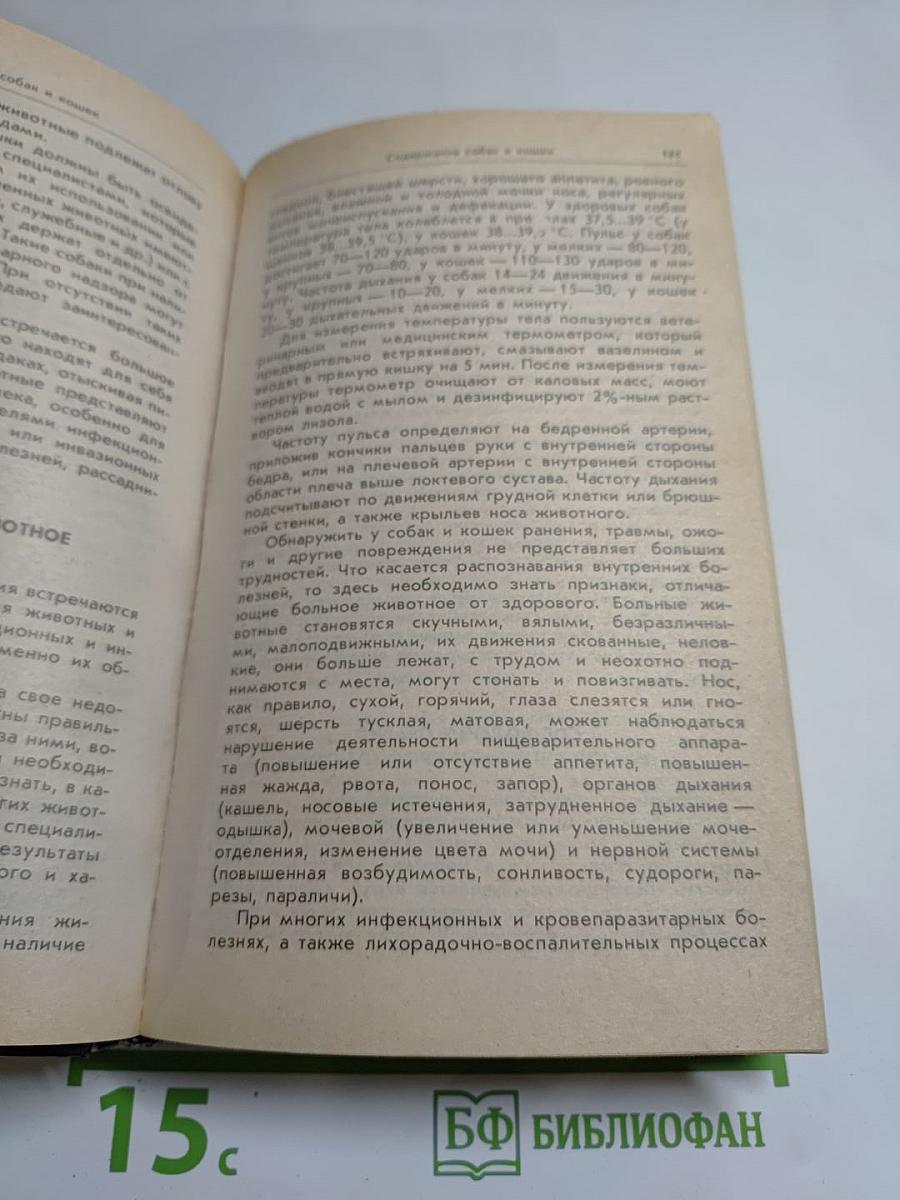 Ваши домашние четвероногие друзья