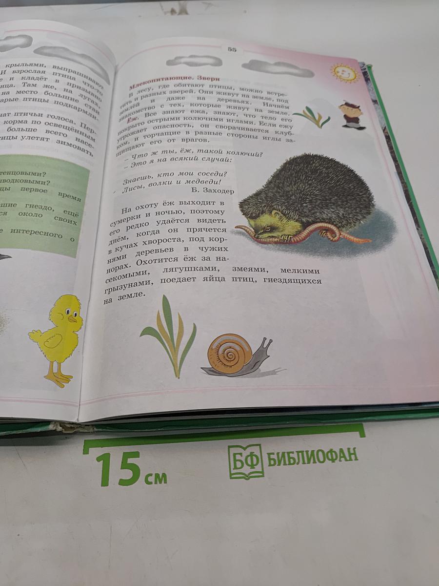 Природоведение и экология. Учебник для 2 класса трехлетней и 3 класса четырехлетней начальной школы