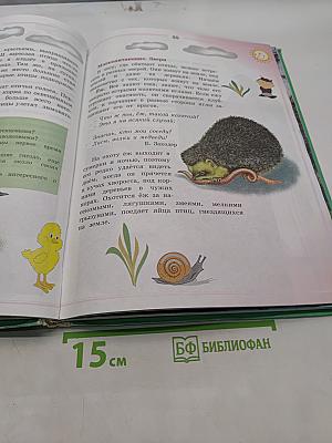 Природоведение и экология. Учебник для 2 класса трехлетней и 3 класса четырехлетней начальной школы