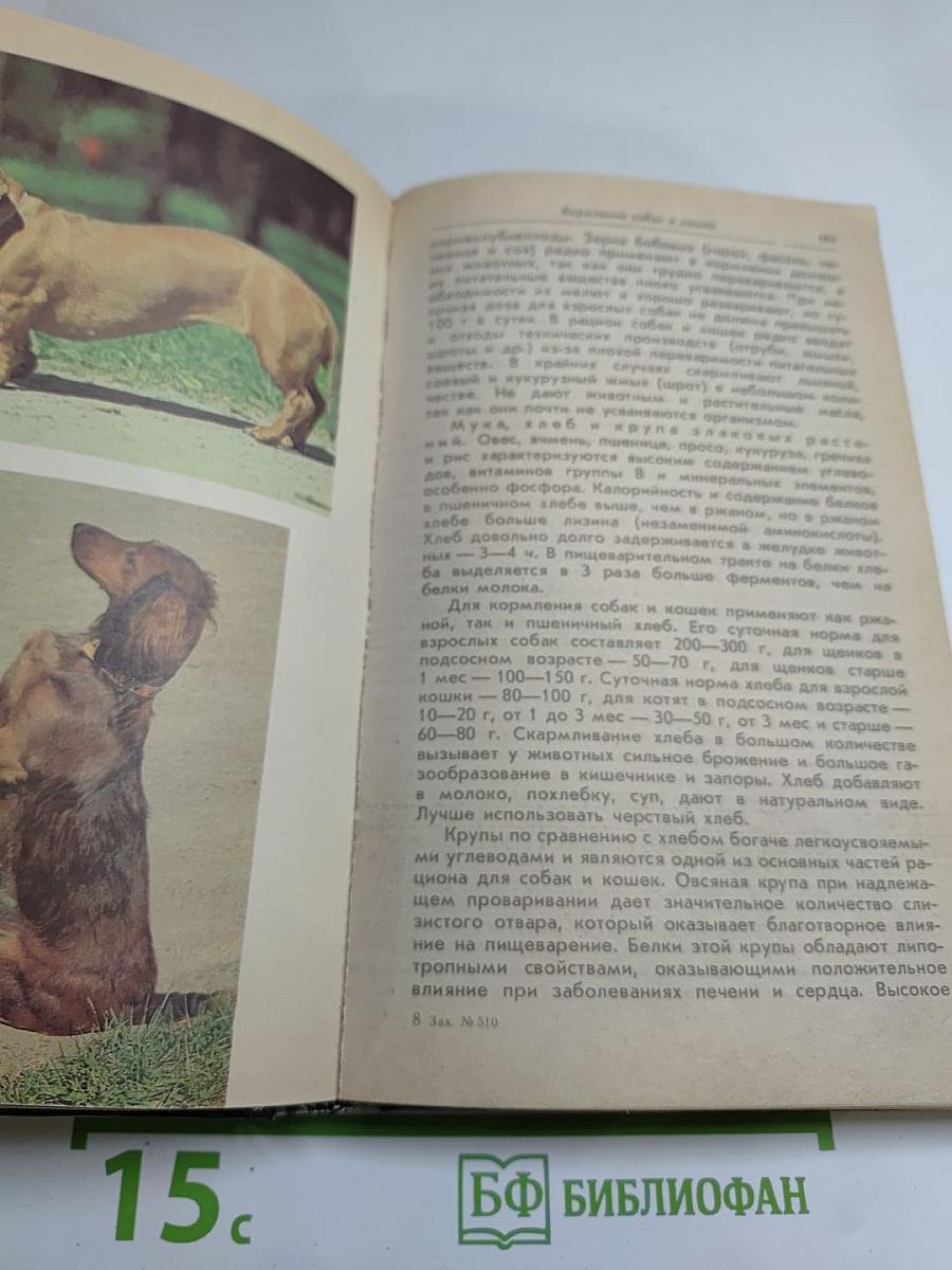 Ваши домашние четвероногие друзья