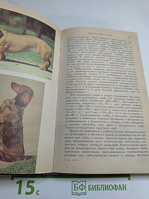 Ваши домашние четвероногие друзья