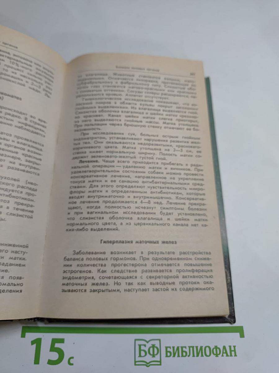 Ваши домашние четвероногие друзья