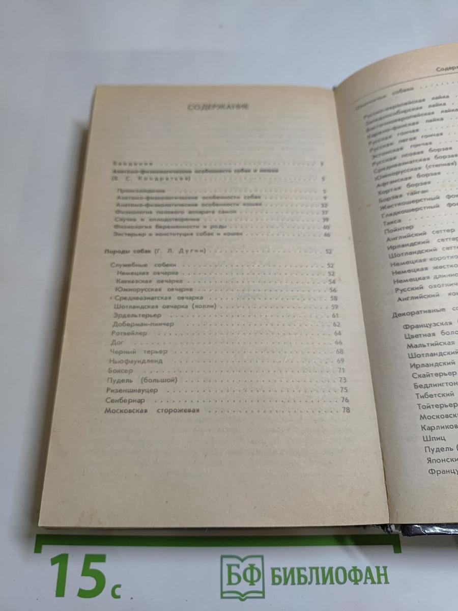 Ваши домашние четвероногие друзья