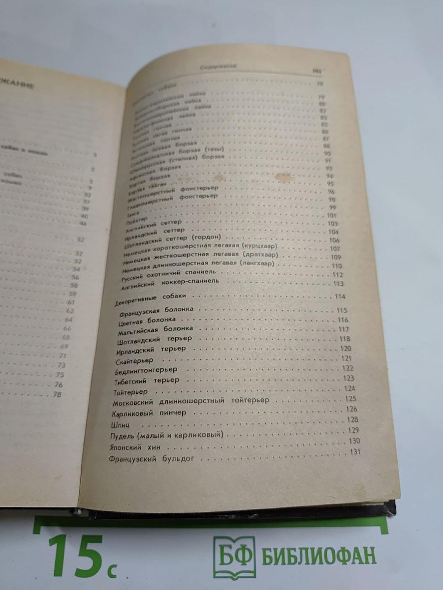 Ваши домашние четвероногие друзья