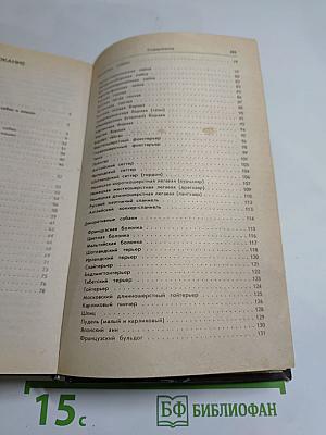 Ваши домашние четвероногие друзья