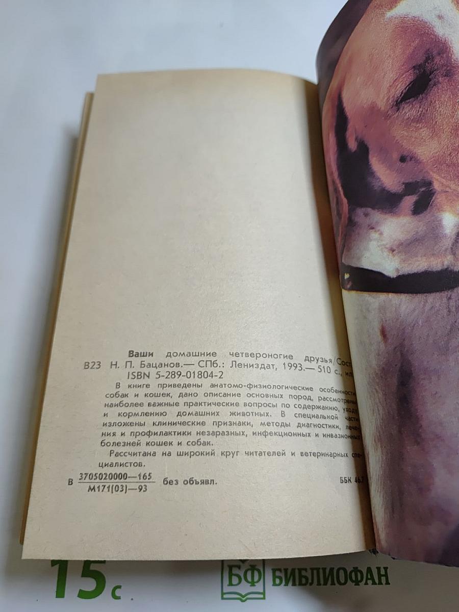 Ваши домашние четвероногие друзья