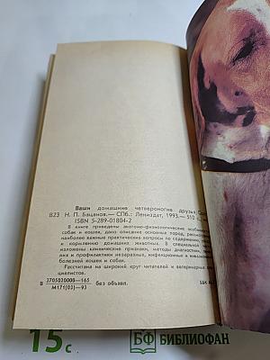 Ваши домашние четвероногие друзья