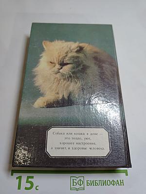 Ваши домашние четвероногие друзья