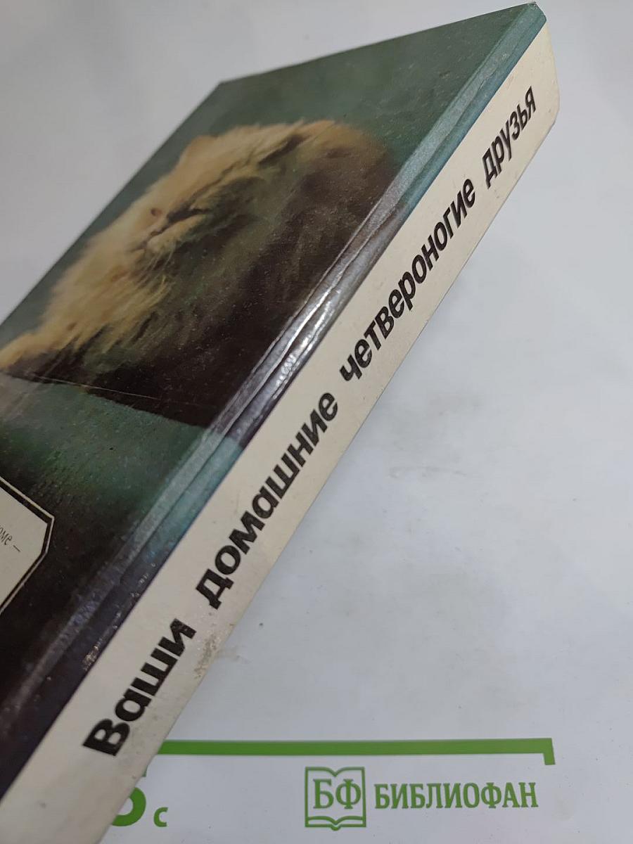 Ваши домашние четвероногие друзья