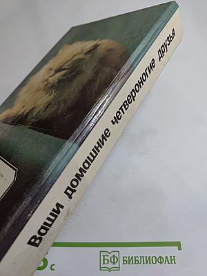 Ваши домашние четвероногие друзья
