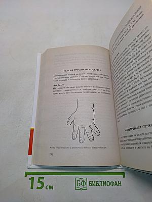 Всё, что нужно знать о беременности и родах