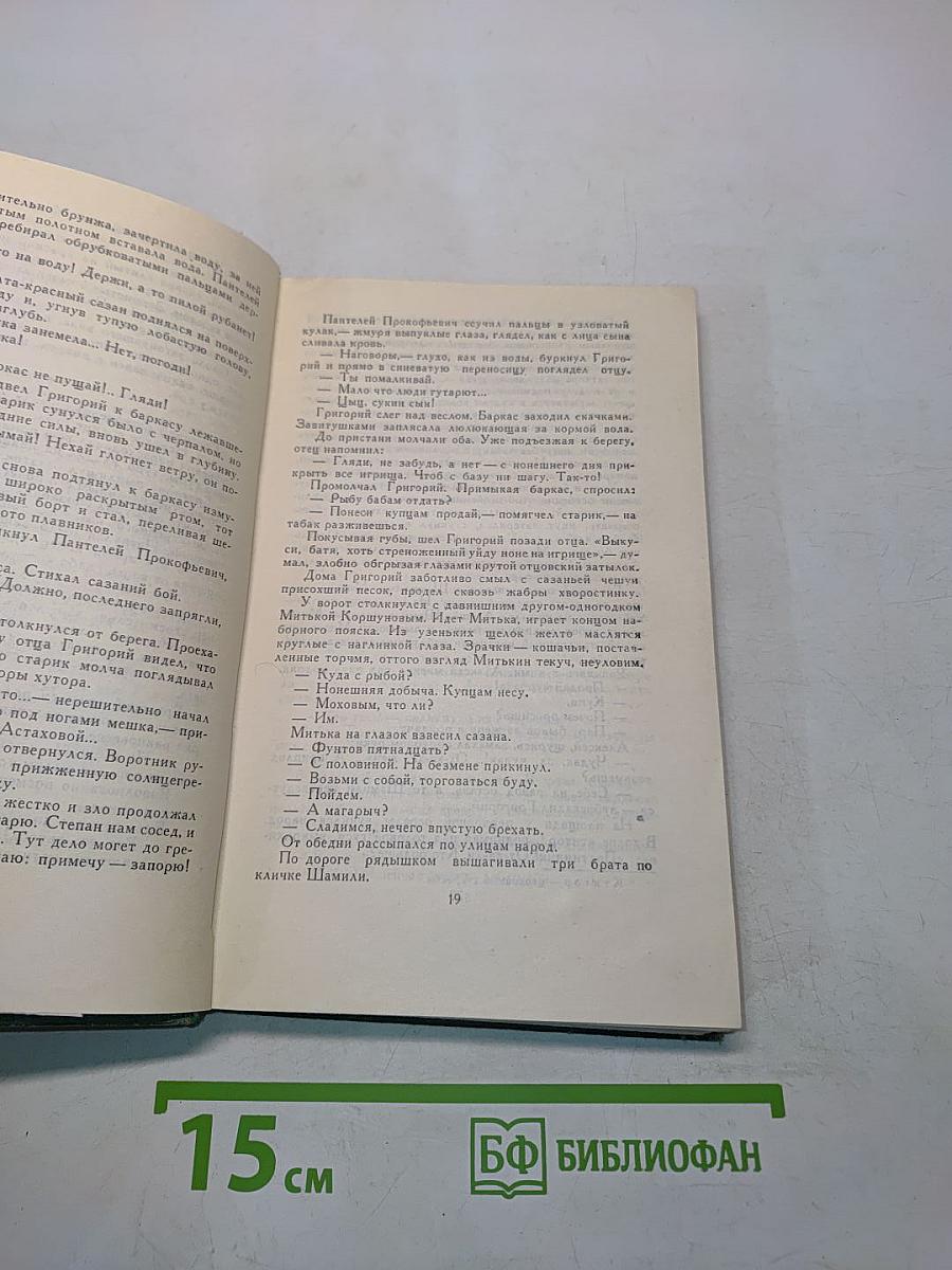 Тихий Дон. Книга первая