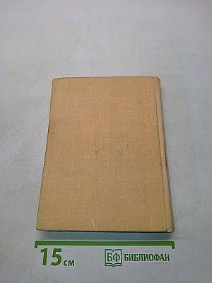 Рассвет