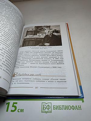 Литература. 9 класс. Часть 2