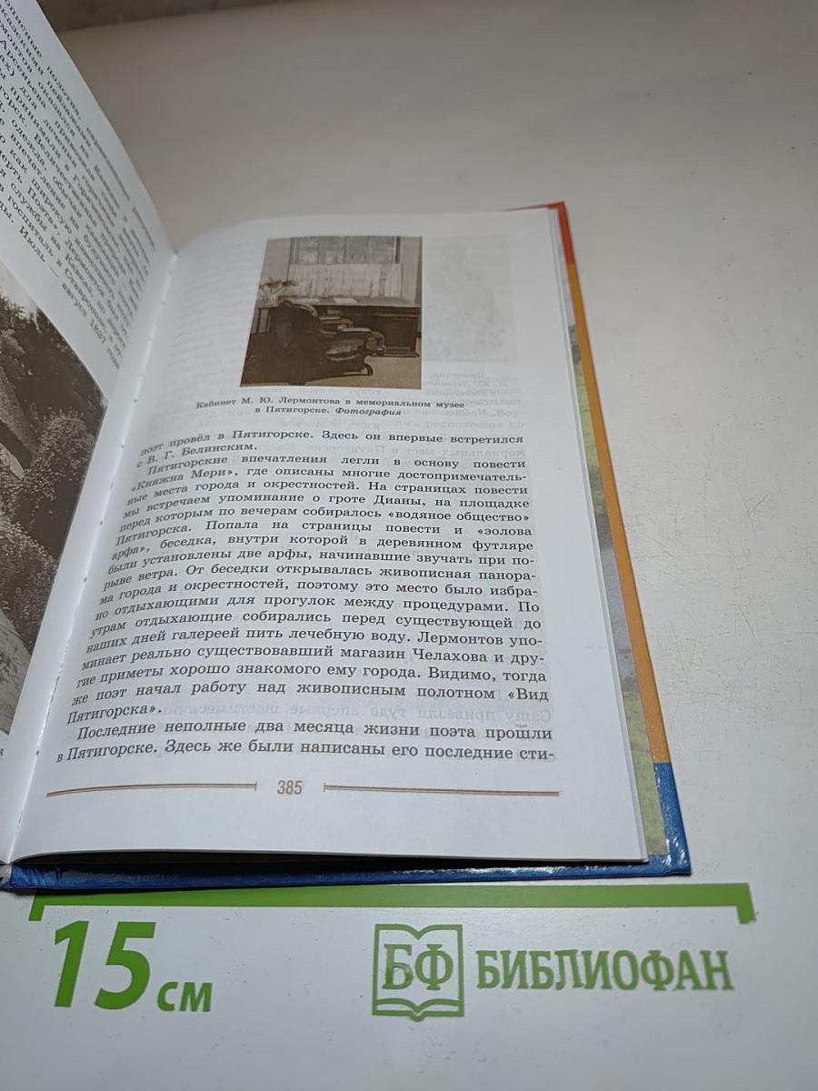 Литература. 9 класс. Часть 2